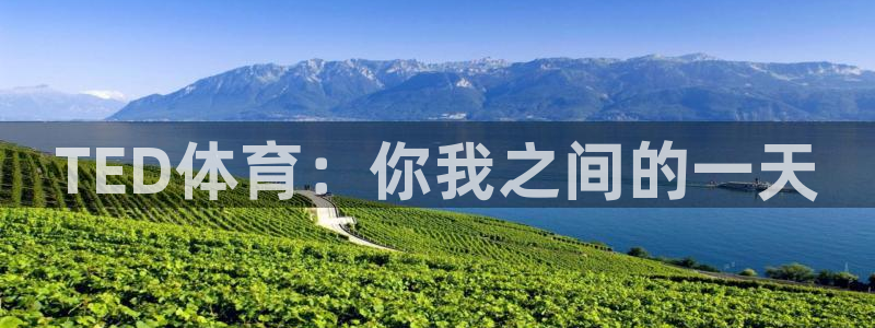 oety欧亿体育官网下载平台是正规平台吗知乎：TED