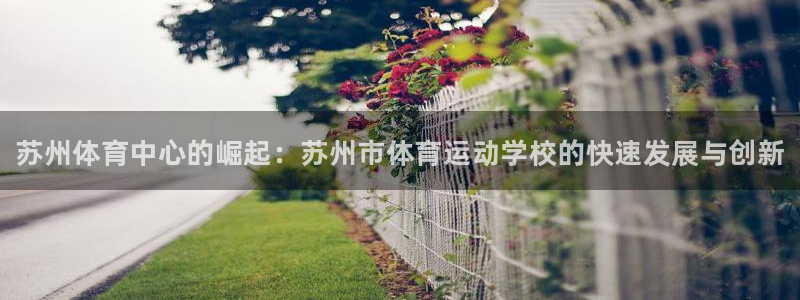 oety欧亿体育官网下载开户：苏州体育中心的崛起：苏