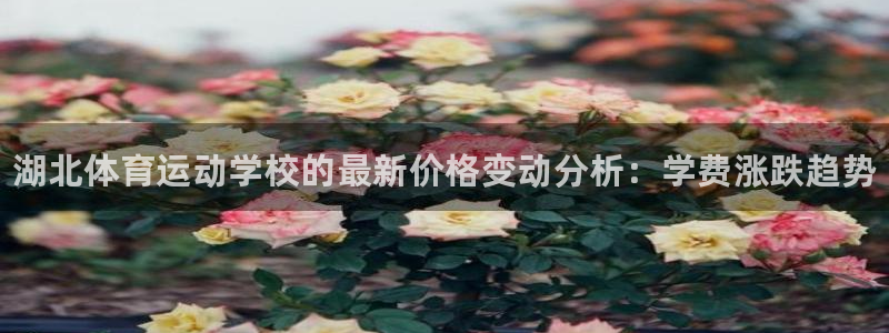 oety欧亿体育官网下载招商电话号码是多少号：湖北体
