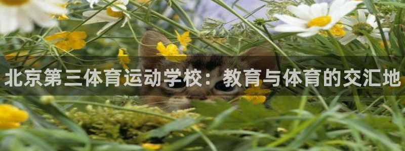 欧亿体育官方正版app代理：北京第三体育运动学校：教