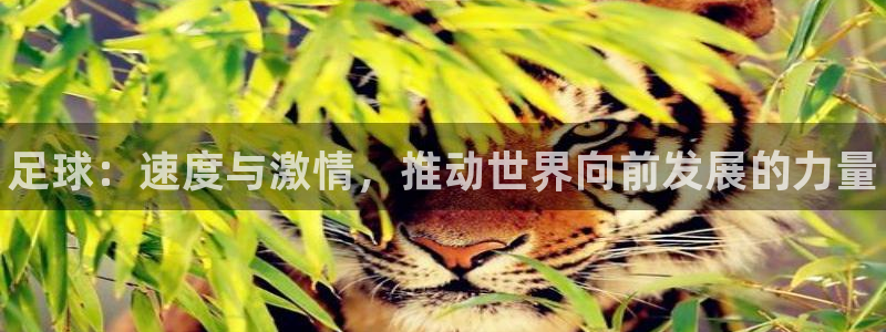 欧亿体育官方正版app娱乐首页网站大全：足球：速度与