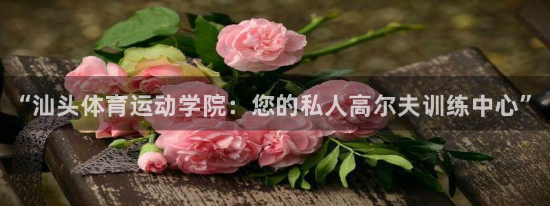 oety欧亿体育官网下载：“汕头体育运动学院：您的私