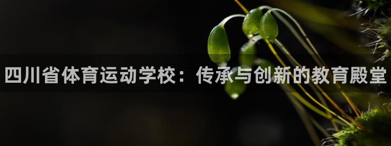 欧亿体育官方正版app集团官网首页：四川省体育运动学