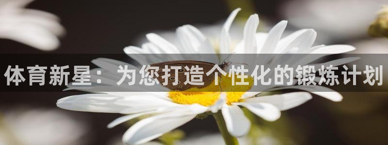 oety欧亿体育官网下载招商电话号码：体育新星：为您