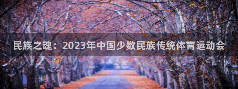 欧亿体育官方正版app娱乐首页官网下载：民族之魂：2