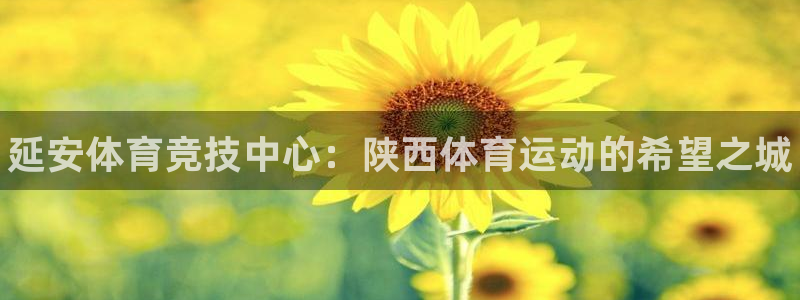 oety欧亿体育官网下载平台：延安体育竞技中心：陕西体育运动