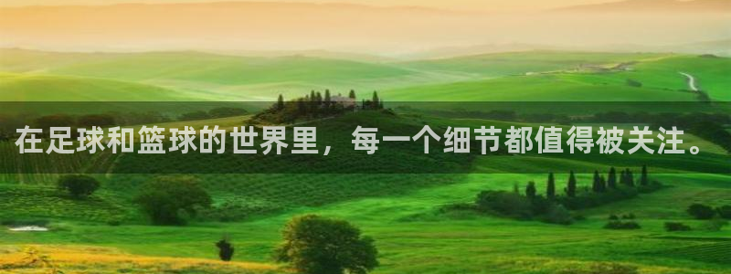 oety欧亿体育官网下载联系电话：在足球和篮球的世界