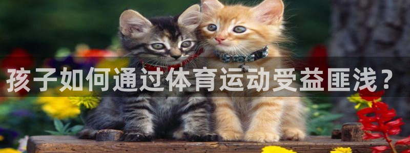 欧亿体育官方正版app科技：孩子如何通过体育运动受益匪浅？