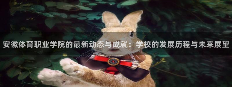 德国欧亿体育官方正版app集团：安徽体育职业学院的最