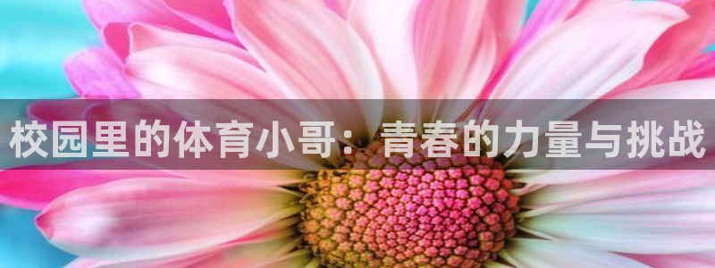 欧亿体育官方正版app娱乐代理怎么样：校园里的体育小哥：青春