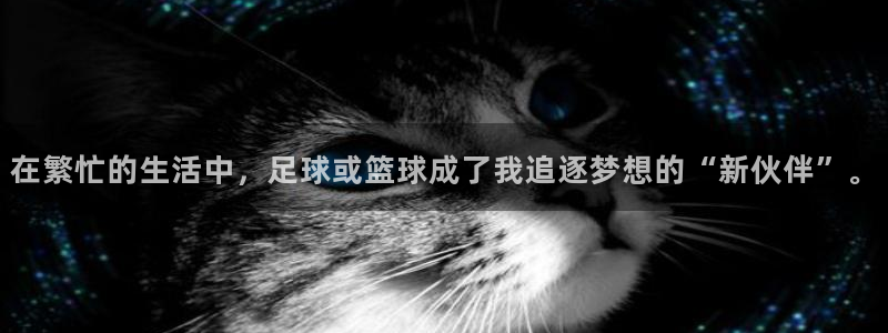 欧亿体育官方正版app五金厂：在繁忙的生活中，足球或篮球成了