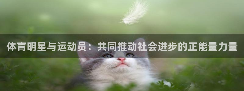 oety欧亿体育官网下载招商电话是多少：体育明星与运动员：共