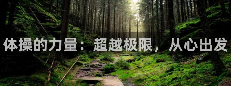 oety欧亿体育官网下载软件：体操的力量：超越极限，从心出发