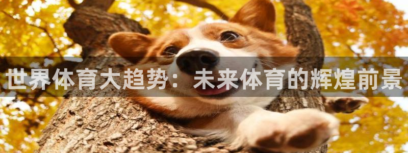 欧亿体育官方正版app娱乐网站：世界体育大趋势：未来体育的辉