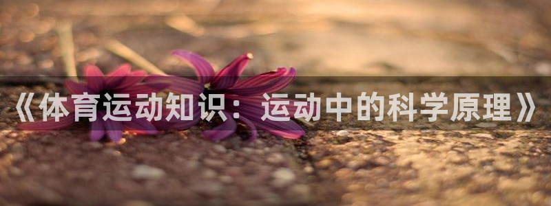 欧亿体育官方正版app集团E.ON