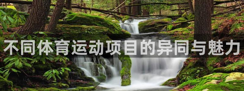 oety欧亿体育官网下载招商电话号码查询