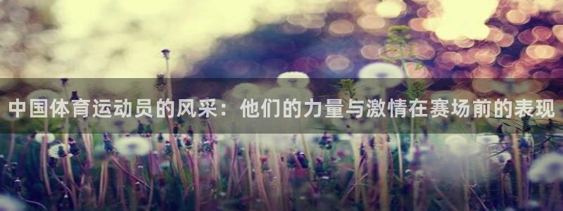 欧亿体育官方正版app代理